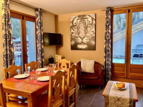 Confort cosy, piscine et spa au pied du MontBlanc